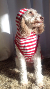 Finn sometimes listens to readers.